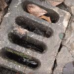 [VÍDEO] Moradores relatam noites sem dormir por medo de novos alagamentos e pedem ajuda para a Prefeitura de Balneário Piçarras