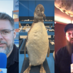 [VÍDEO] Museu Oceanográfico da Univali promove campanha do agasalho até o domingo (19)