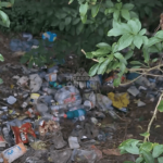 [VÍDEO] Morador chama atenção para ponto de descarte ilegal de lixo em mato de frente para a orla de Balneário Piçarras