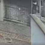 [VÍDEO] Parece não ter fim: ladrão é gravado enquanto tentava furtar fiação elétrica na madrugada